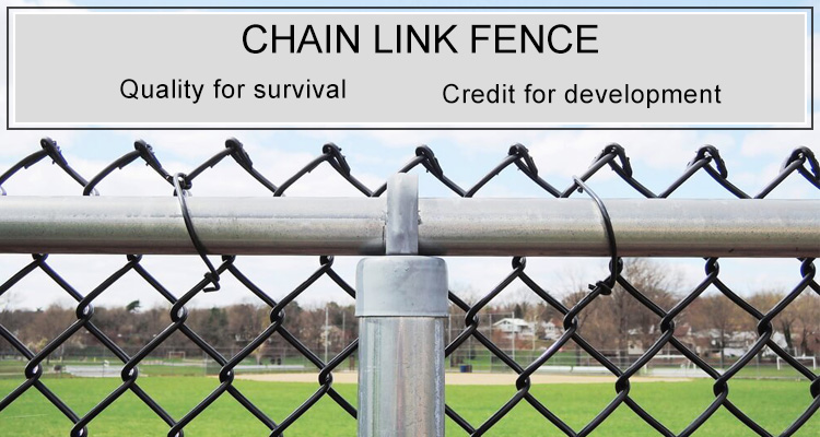 6 foot chain link fence