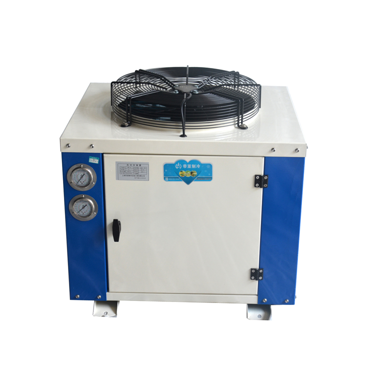 Refrigeration Condensing Unit