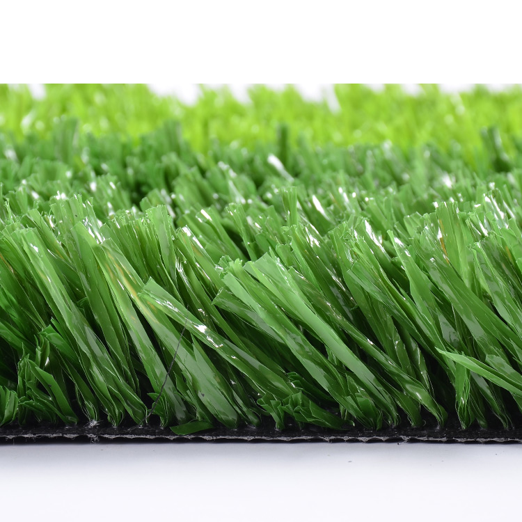 Soccer for Football Field Grass